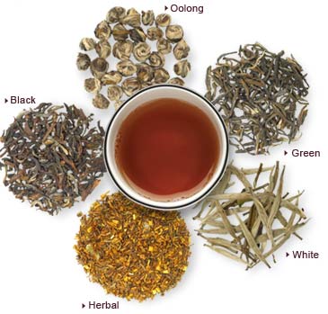 types of tea